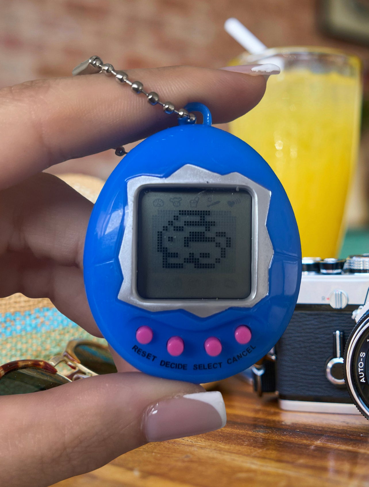 Electronic Pet