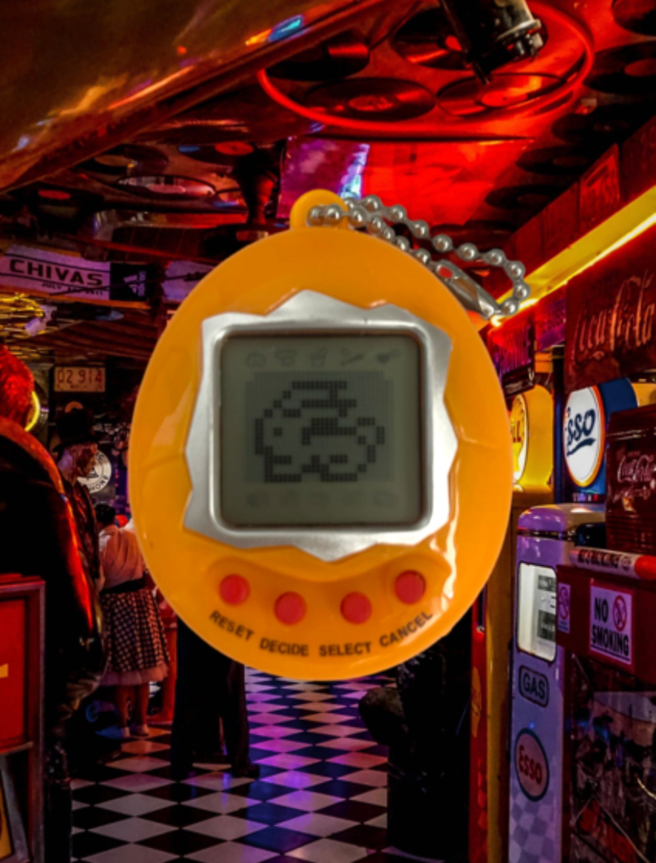 Electronic Pet
