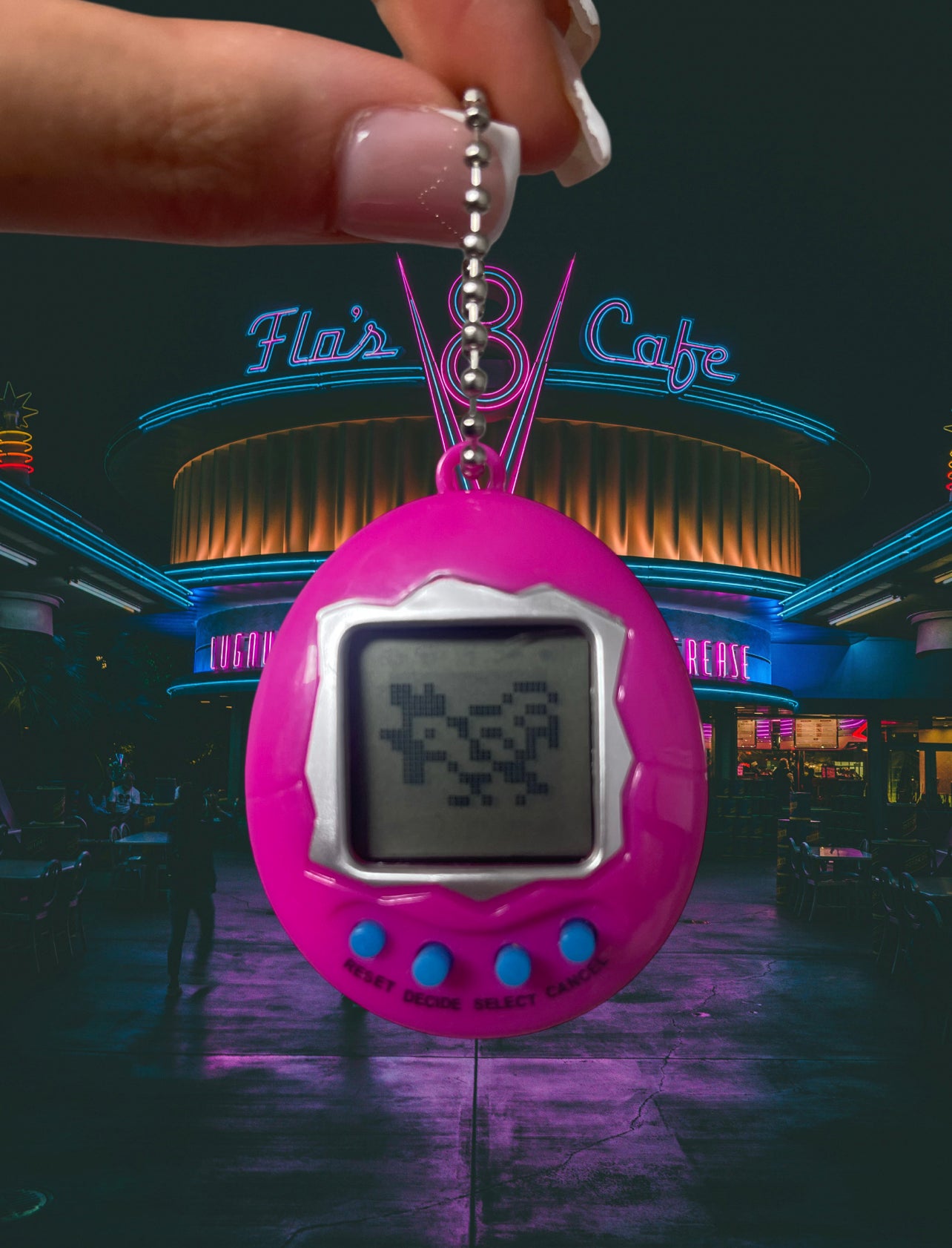 Electronic Pet