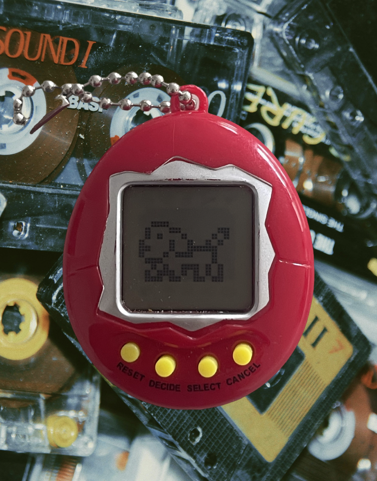 Electronic Pet